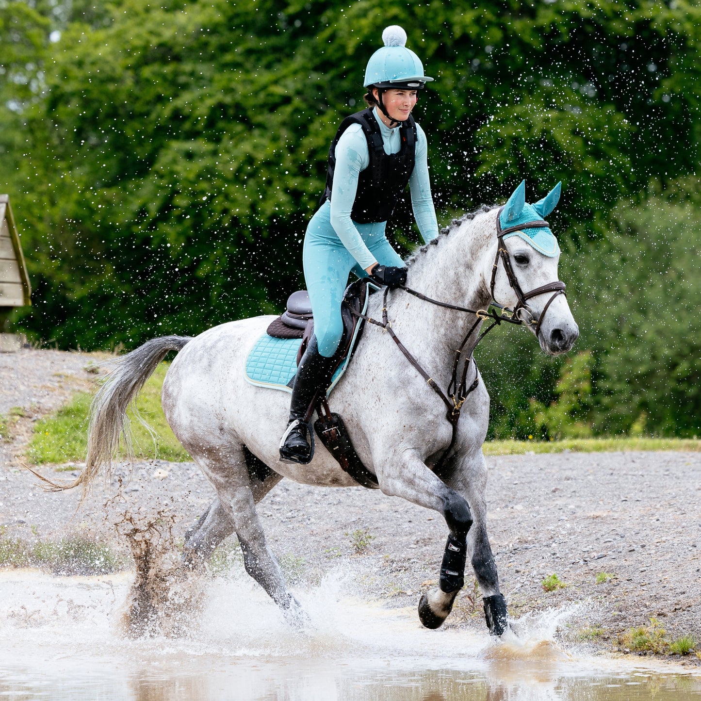 LeMieux Classic Fly Hood - EQ Saddlery