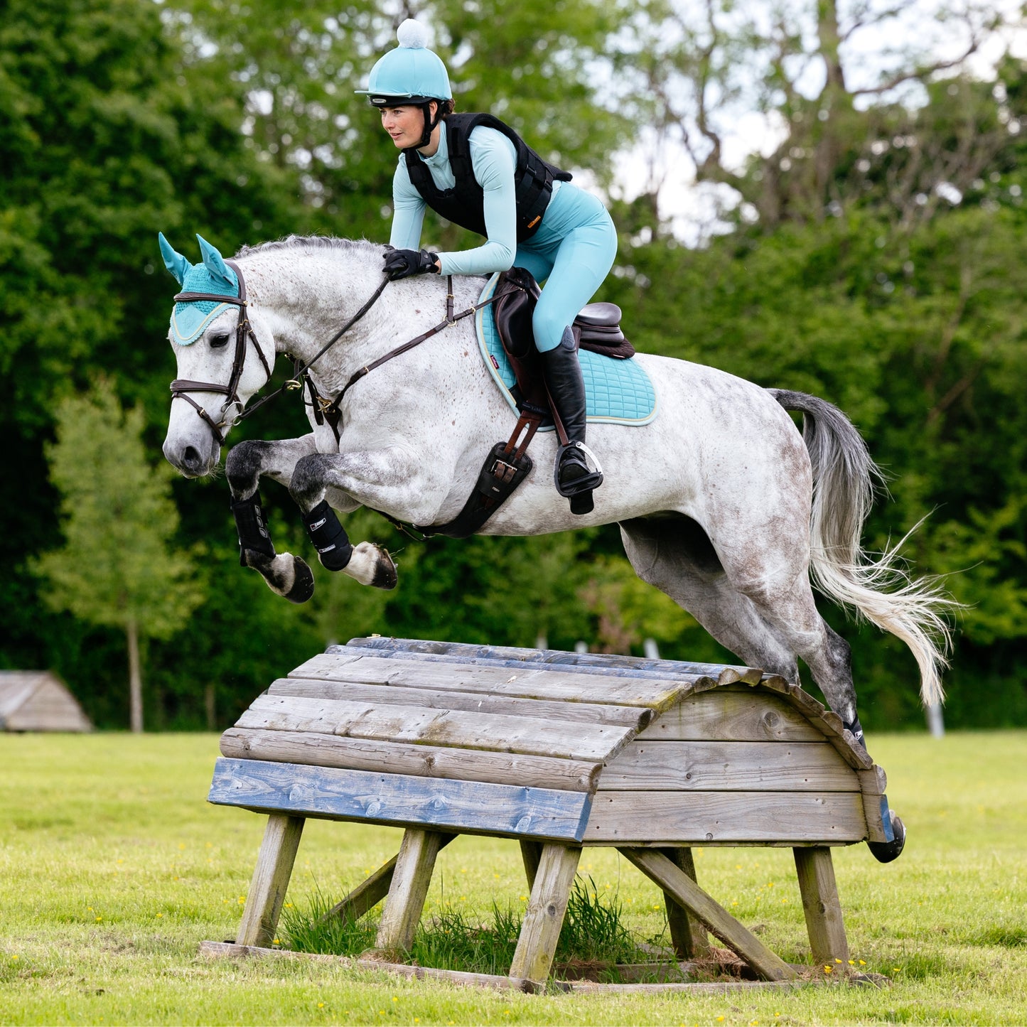 LeMieux Classic Fly Hood - EQ Saddlery