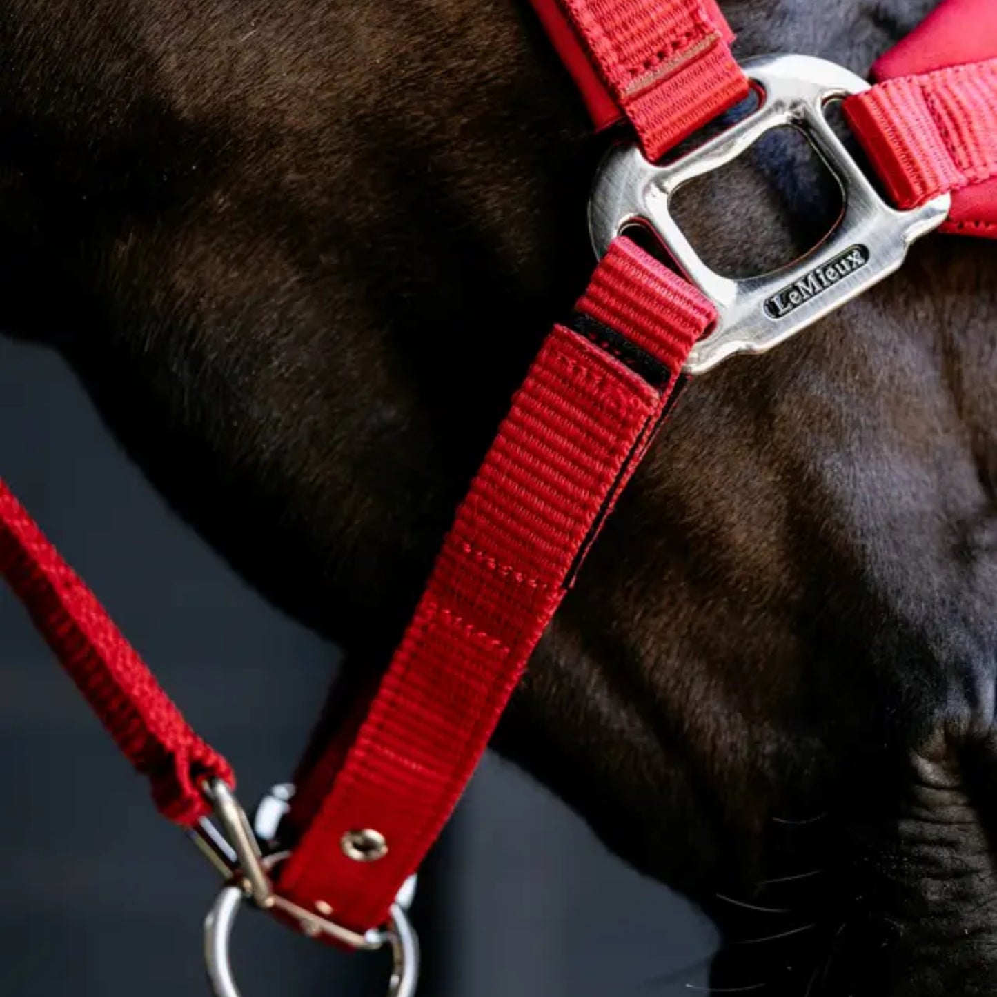 LeMieux Breakaway Vogue Headcollar