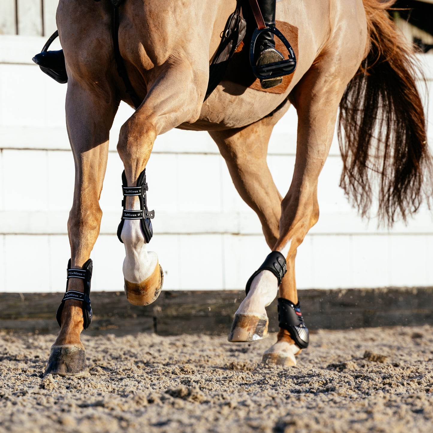LeMieux EXO Flex Fetlock Boots - EQ Saddlery