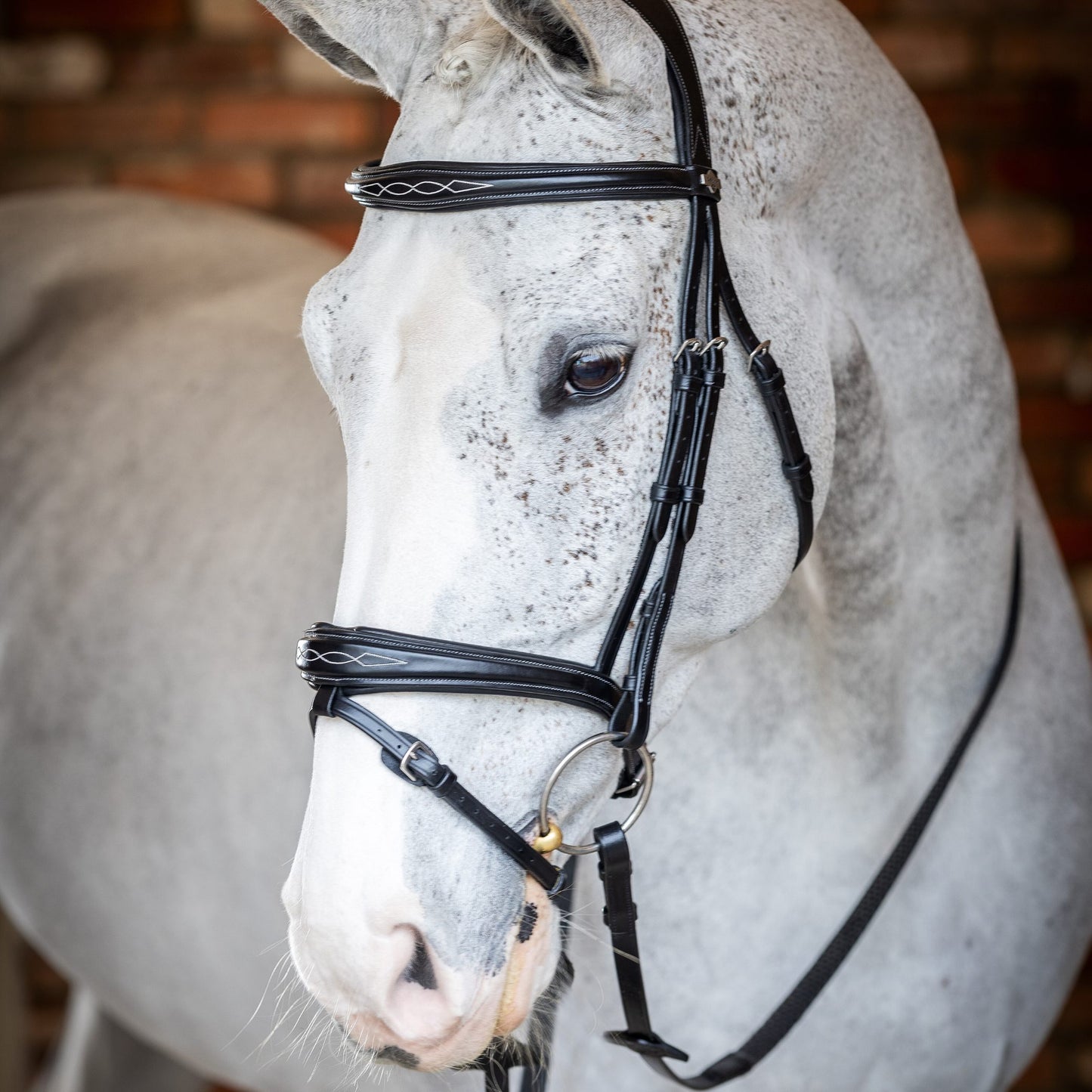 LeMieux Kudos Competition Flash Bridle