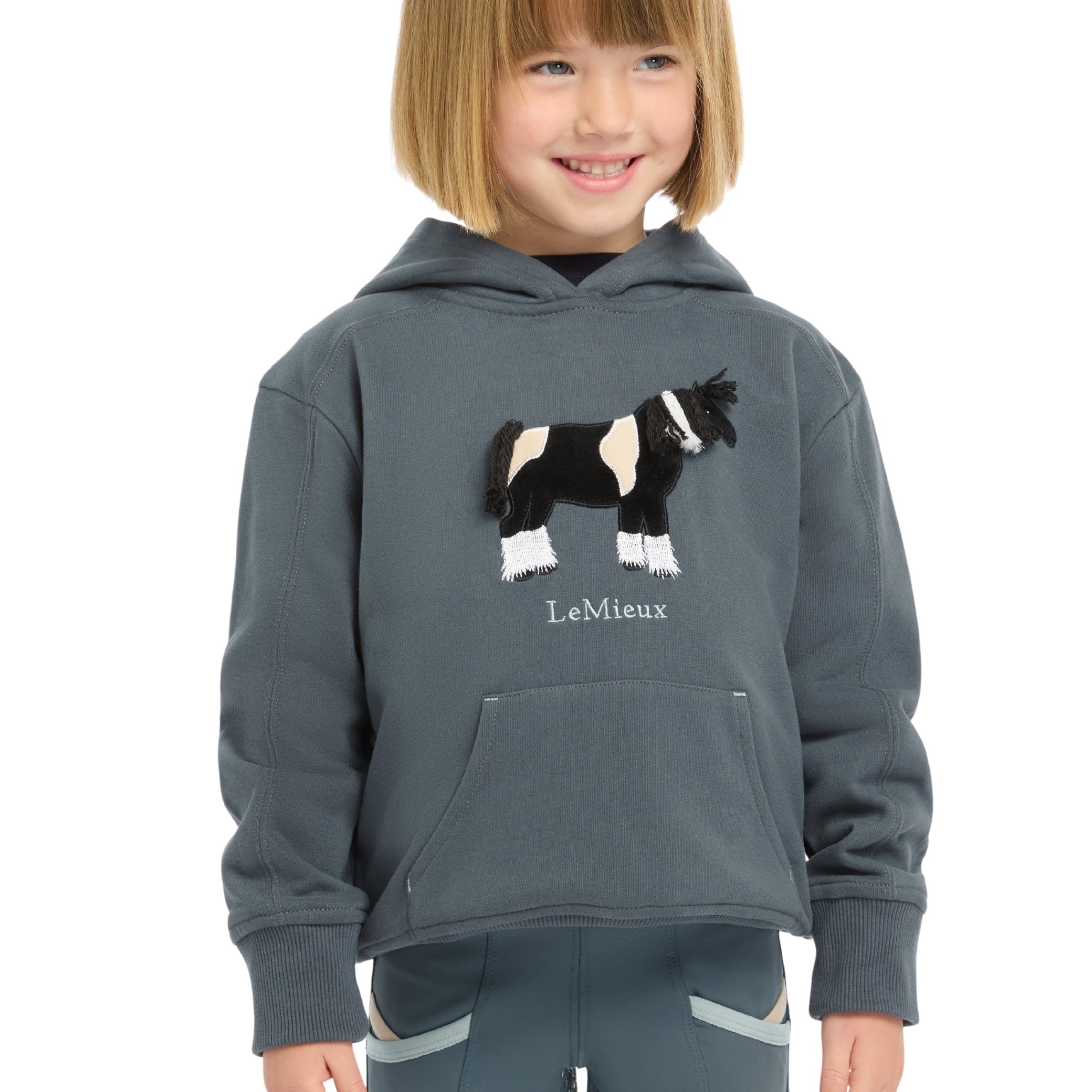 Sweat à capuche de poche épais pour animaux de compagnie,vêtements d'hiver,pull mignon pour