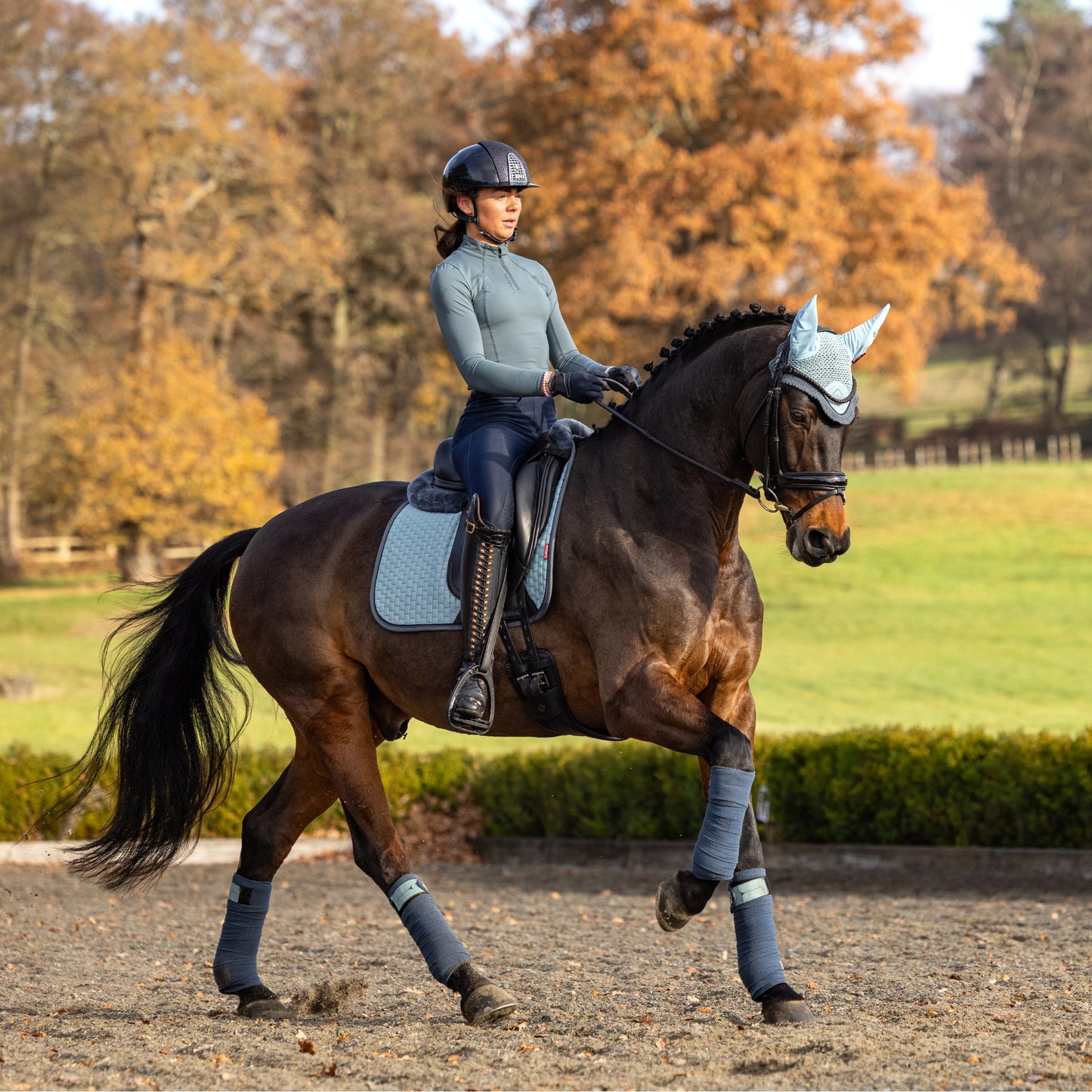 LeMieux Suede Dressage Square - EQ Saddlery