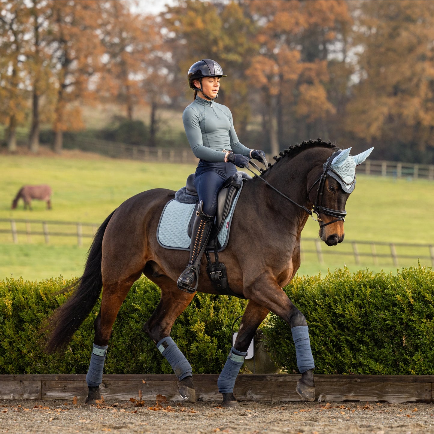 LeMieux Suede Dressage Square - EQ Saddlery