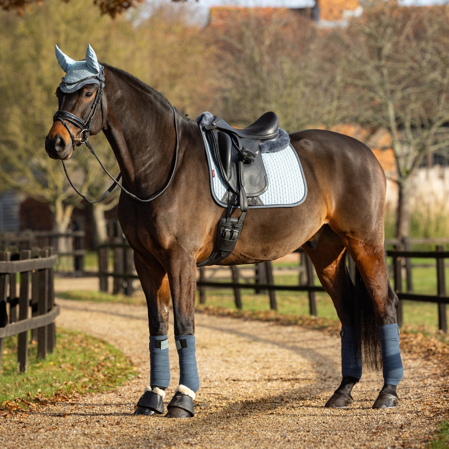 LeMieux Suede Dressage Square - EQ Saddlery