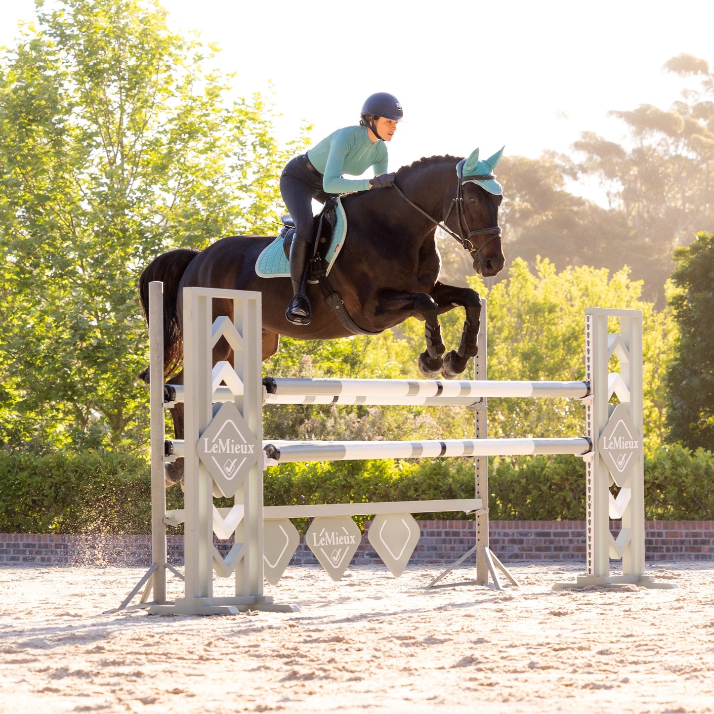 LeMieux Classic Fly Hood - EQ Saddlery