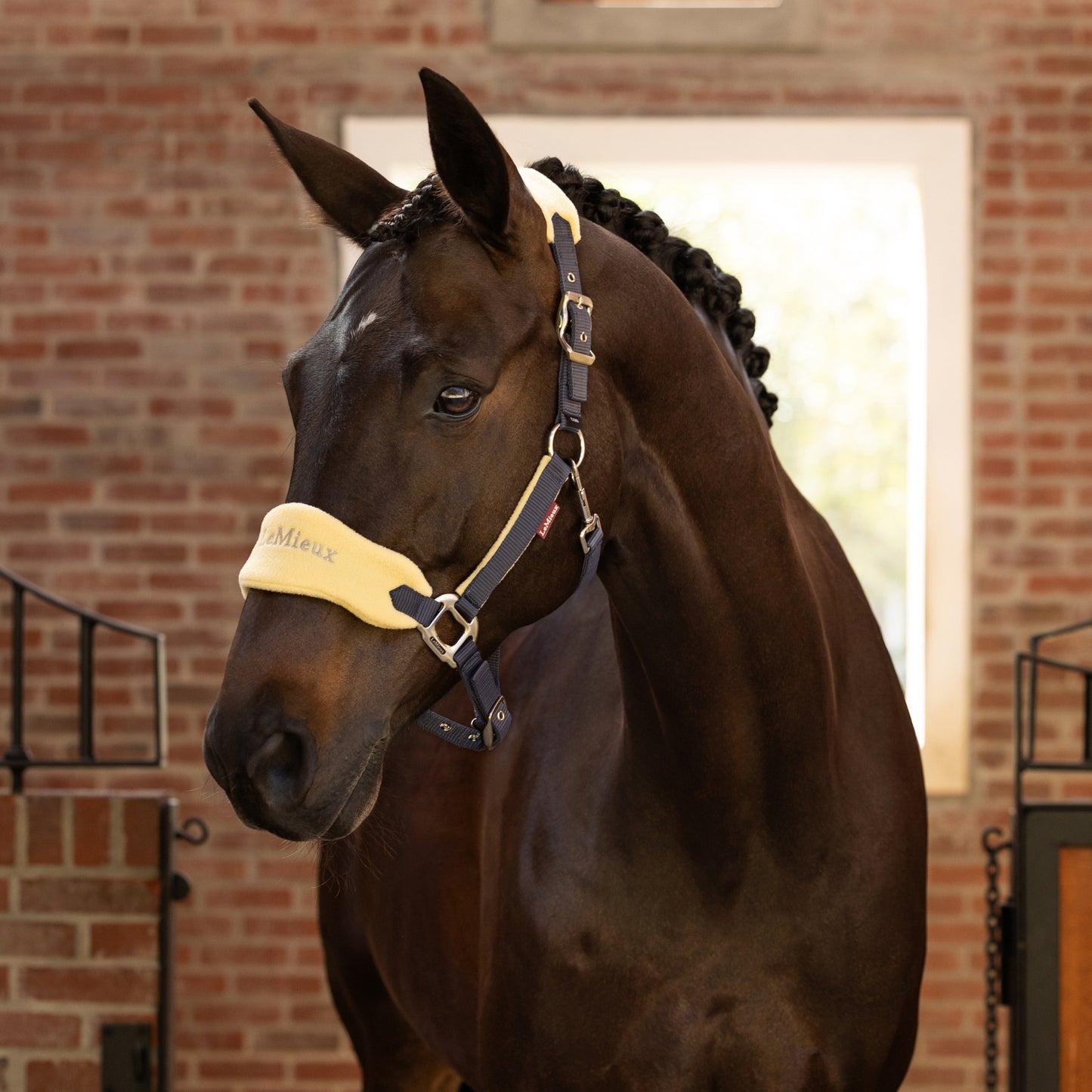 LeMieux Vogue Headcollar & Leadrope - EQ Saddlery
