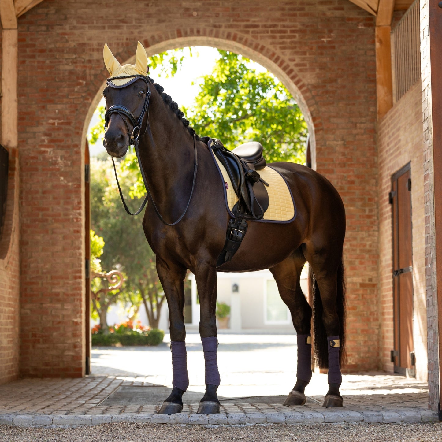 LeMieux Classic Fly Hood - EQ Saddlery