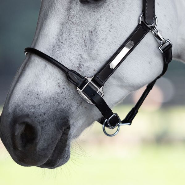Lumiere Aero Leather Halter - EQ Saddlery