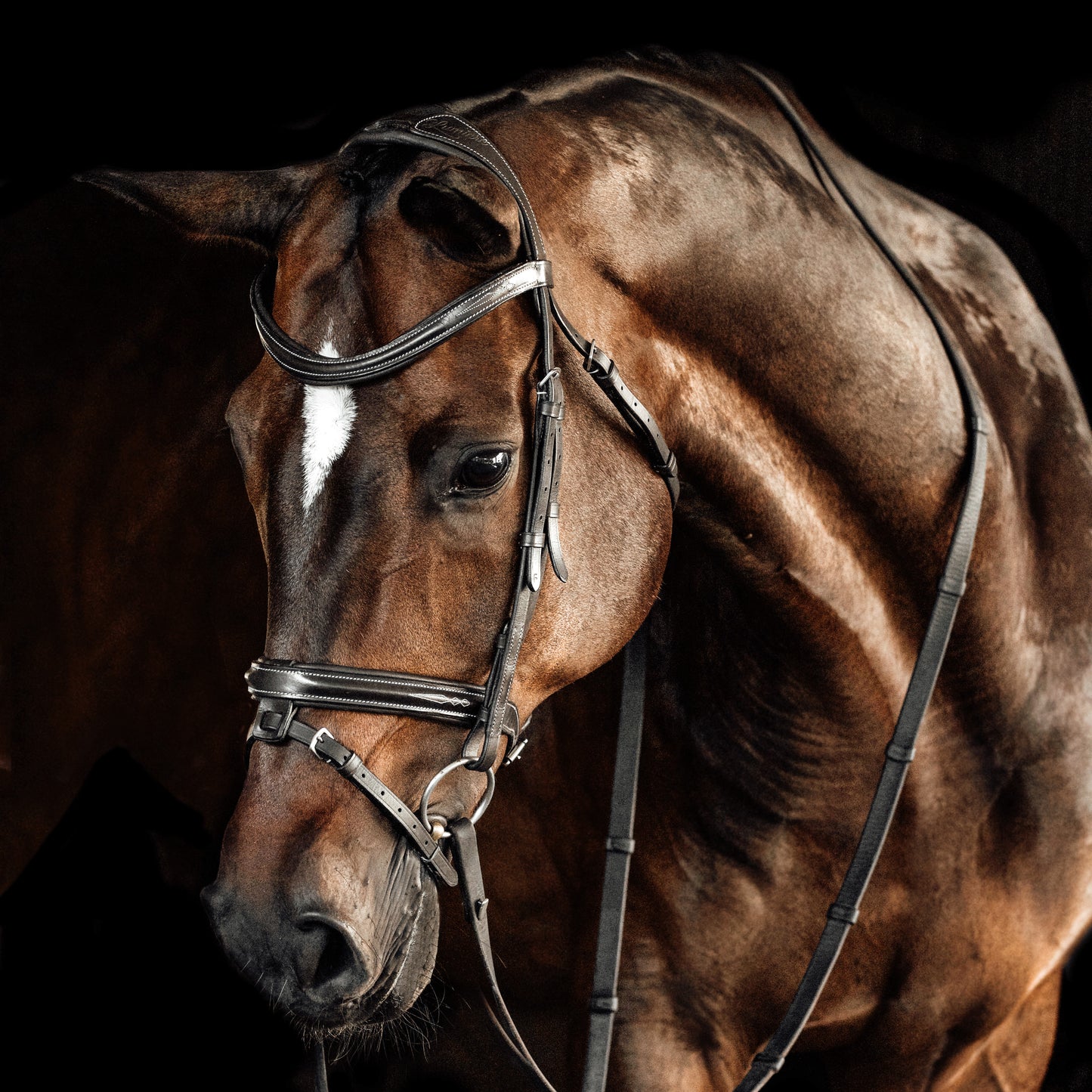 Lumiere Milan Convertible Bridle - EQ Saddlery