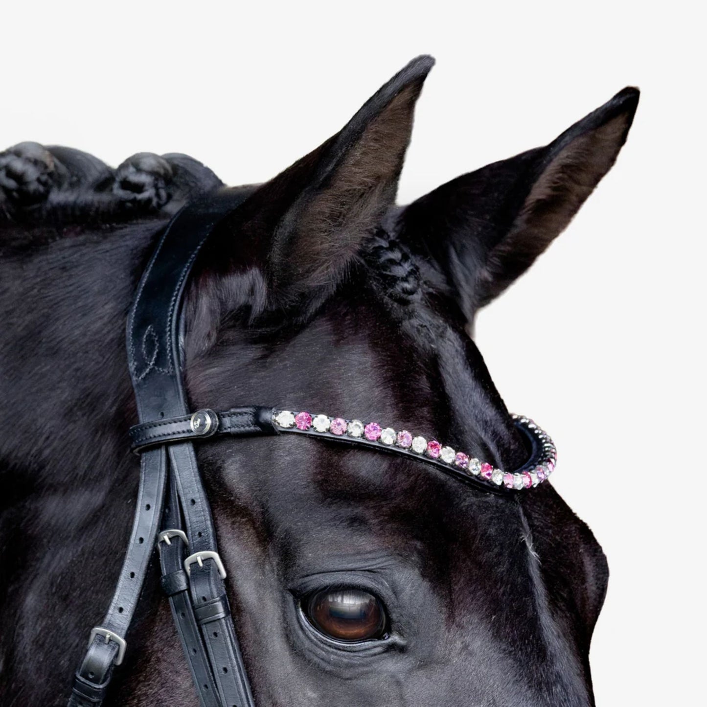 Lumiere Paloma Hanoverian Bridle