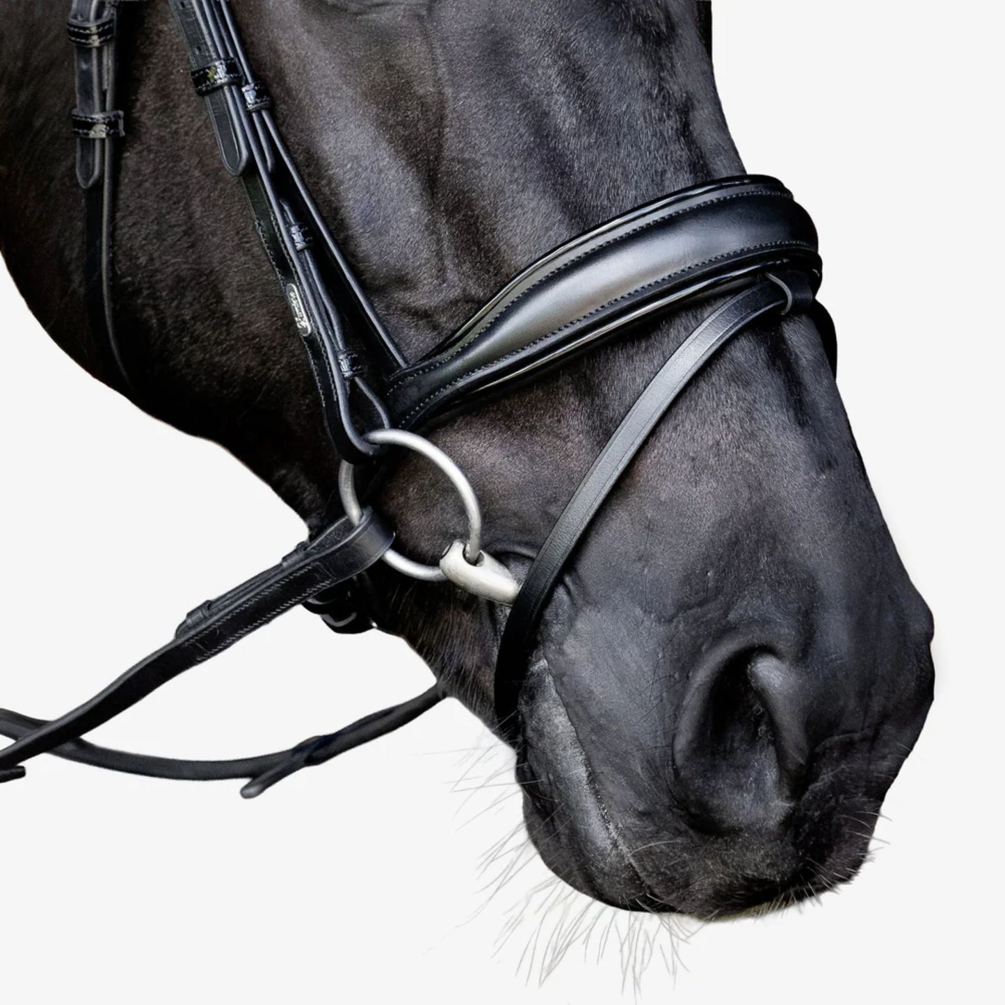 Lumiere Penny Hanoverian Bridle