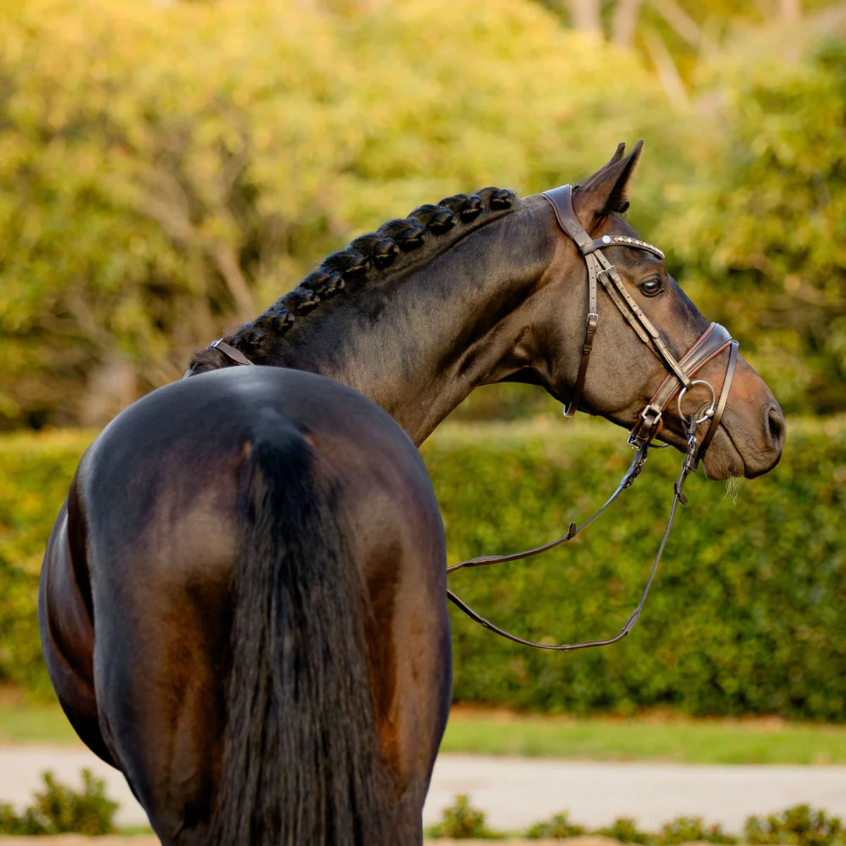 Lumiere Pippa Hanoverian Bridle