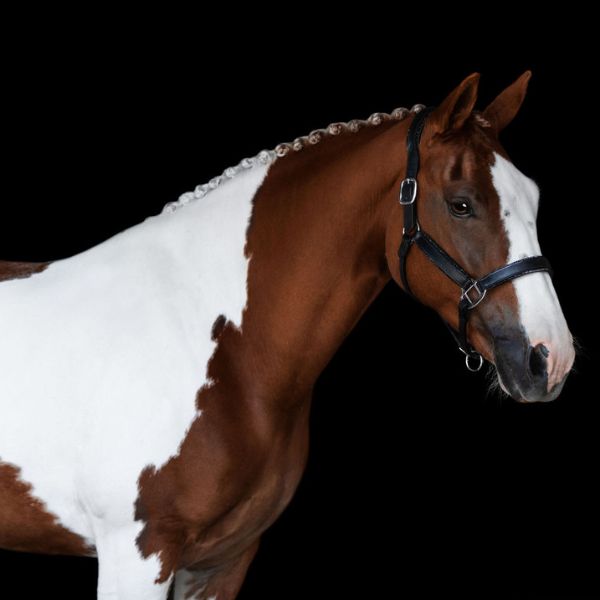 Lumiere Vegas Glitter Leather Halter - EQ Saddlery