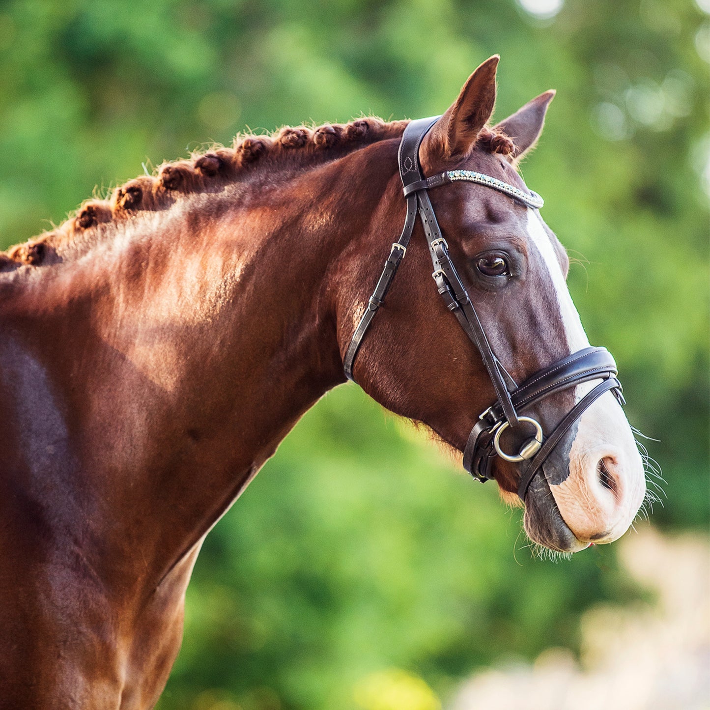 Lumiere Anastasia Convertible Bridle - EQ Saddlery