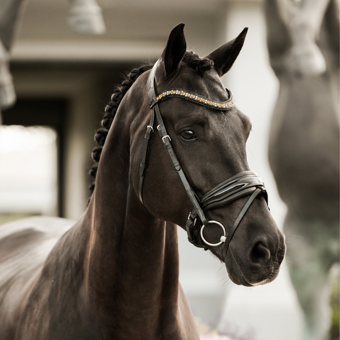Lumiere Ariana Hanoverian Leather Bridle - EQ Saddlery