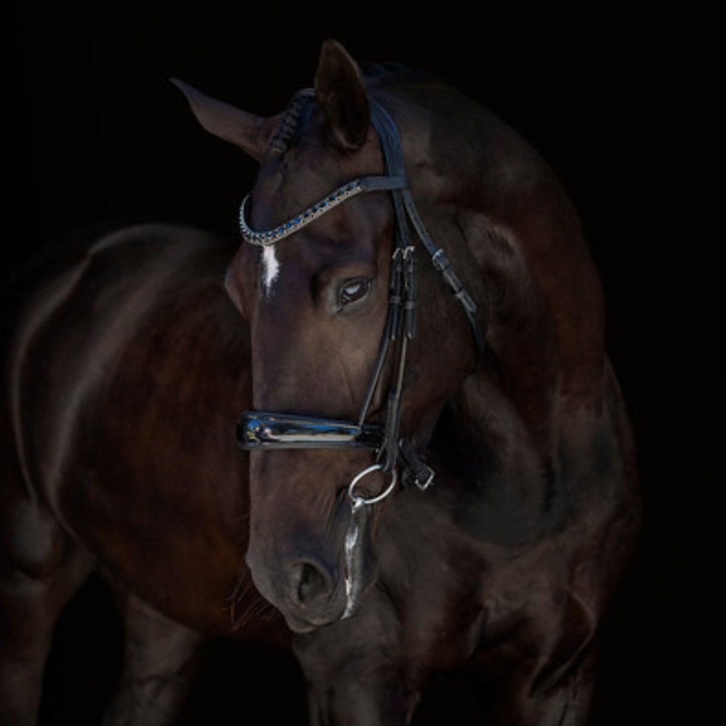 Lumiere Audrey Cavesson Rolled Leather Bridle - EQ Saddlery