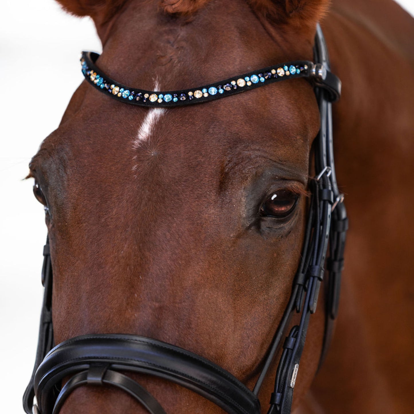 Lumiere Demi Hanoverian Bridle - EQ Saddlery