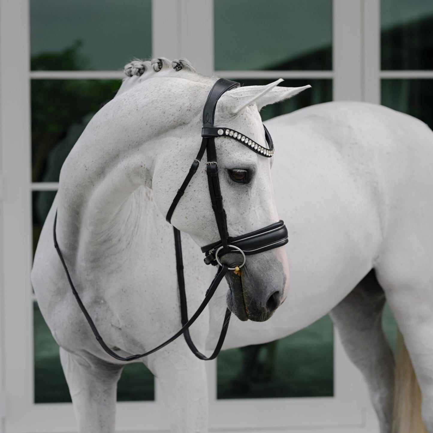 Lumi Pony Diva Cavesson Bridle - EQ Saddlery