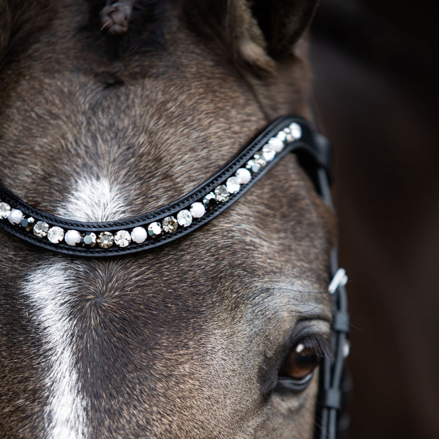 Lumiere Mercury Hanoverian Bridle - EQ Saddlery