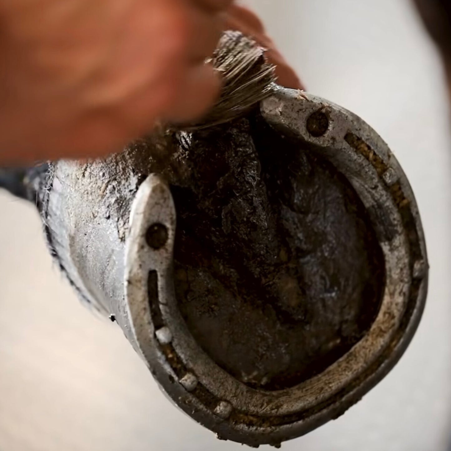 NRG Stride Hoof Dressing - EQ Saddlery