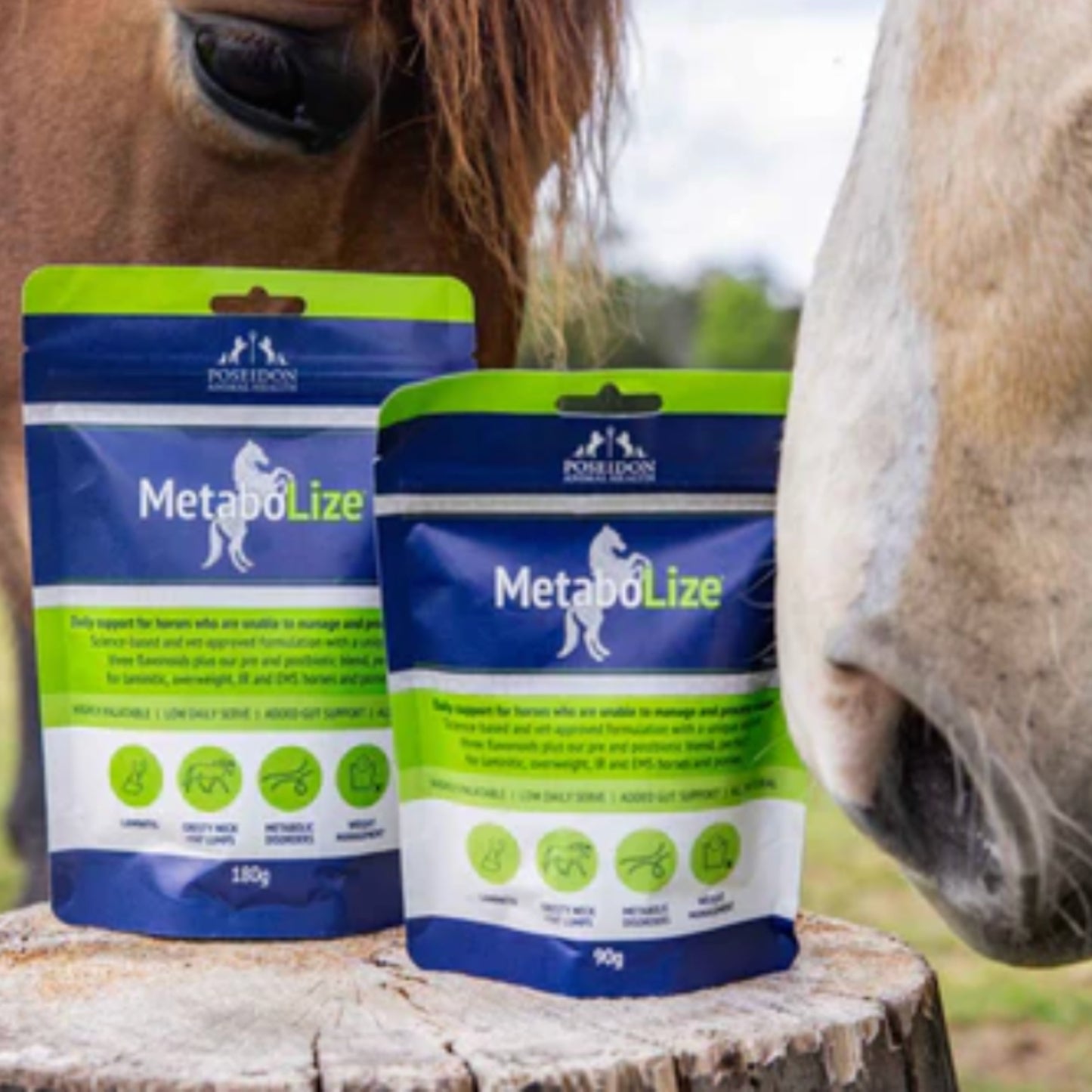 Poseidon MetaboLize - EQ Saddlery