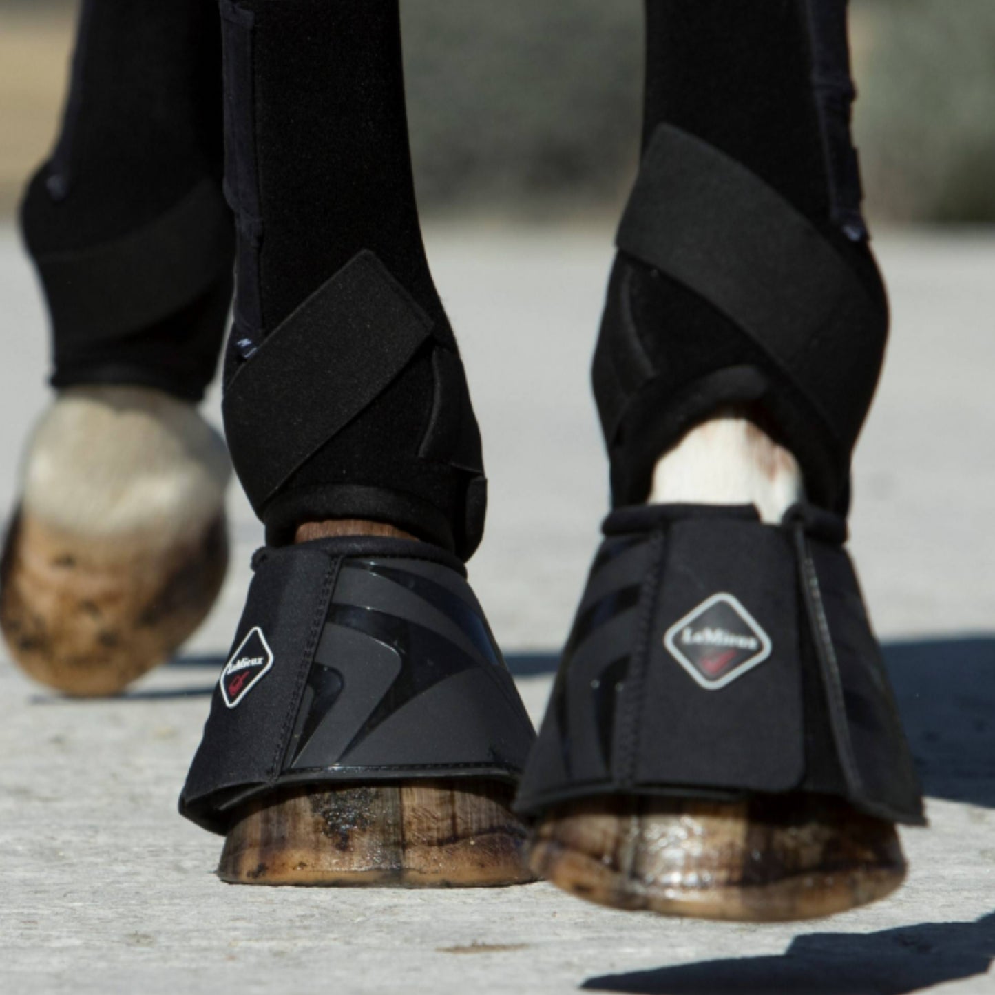 LeMieux ProShell Overreach Boots - EQ Saddlery