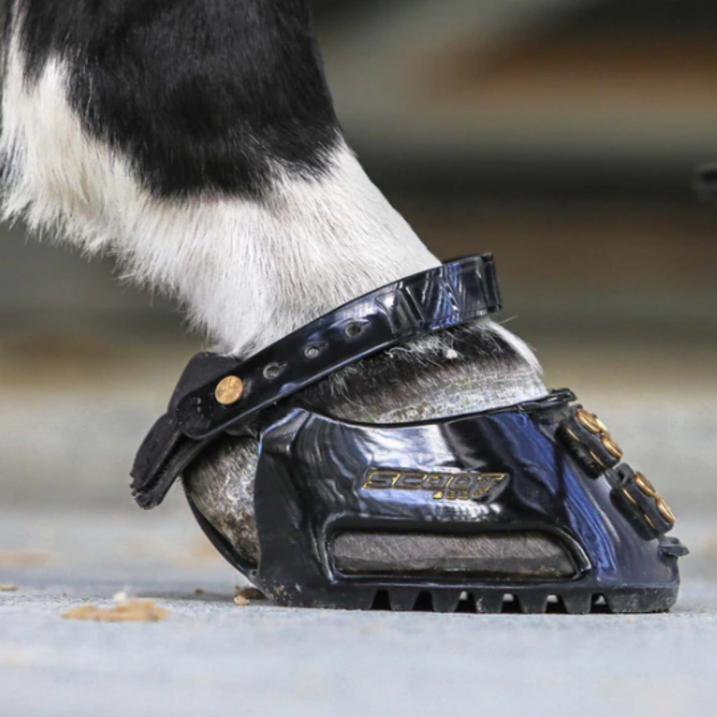 Scoot Boots Slim Pair - EQ Saddlery