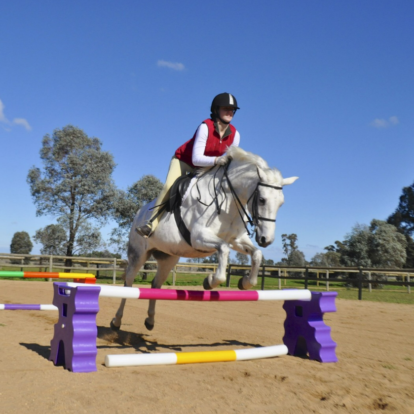 Agboss Cavaletti - EQ Saddlery