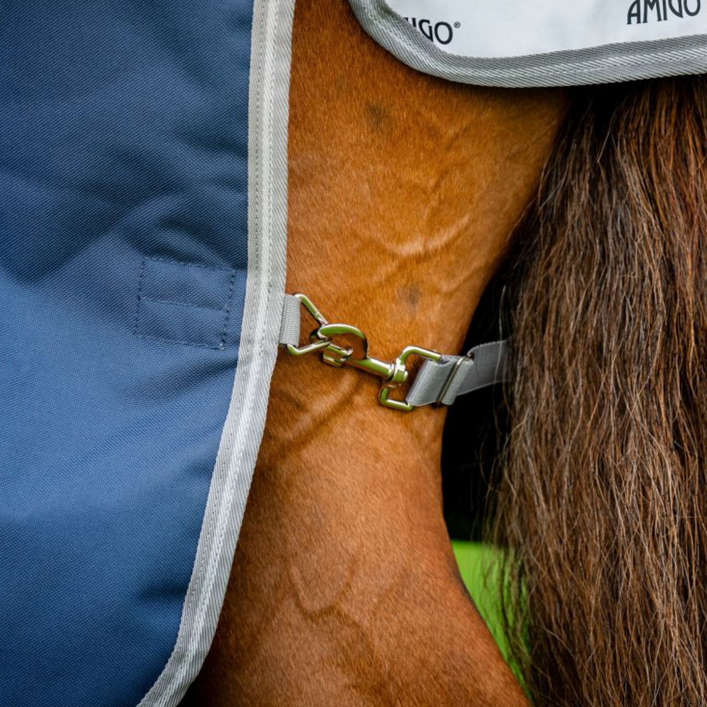 Horseware Amigo Bravo 12 Plus 250g Rug - EQ Saddlery
