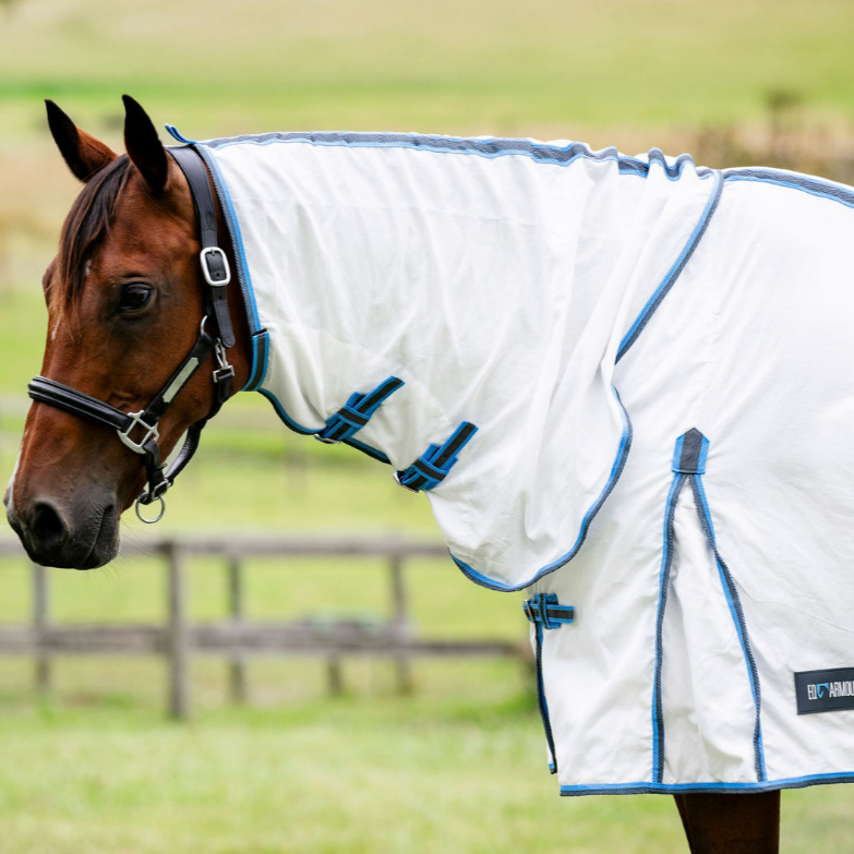 EQ Armour Flag Combo - EQ Saddlery