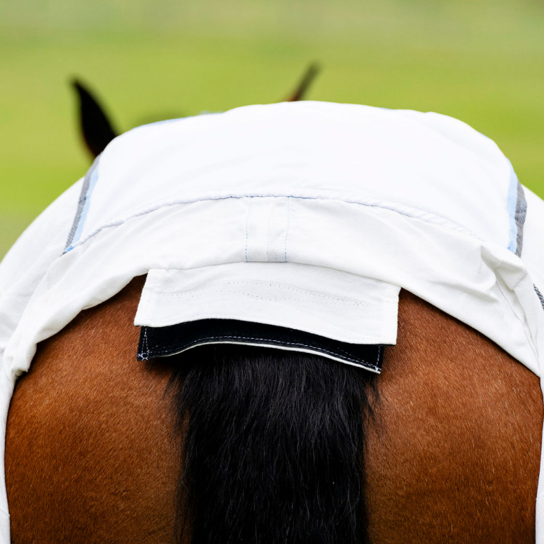 EQ Armour Flag Combo - EQ Saddlery