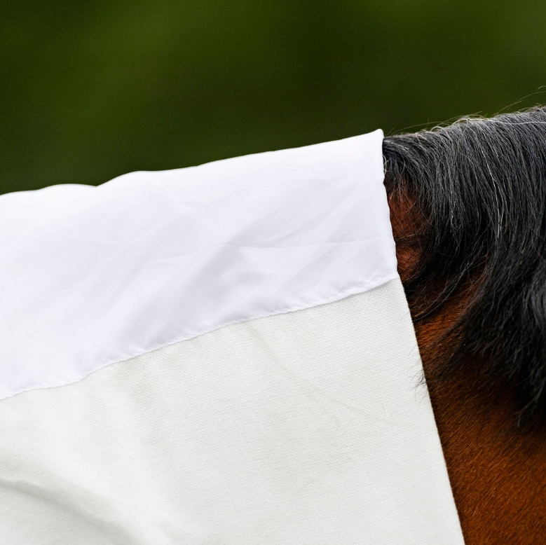EQ Armour Flag Combo - EQ Saddlery
