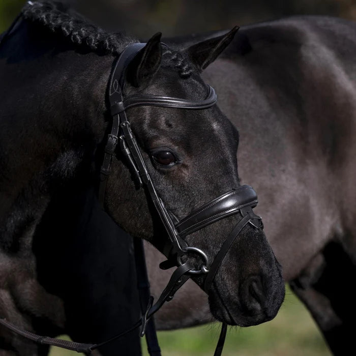 Lumiere Mikayla Convertible Bridle - EQ Saddlery