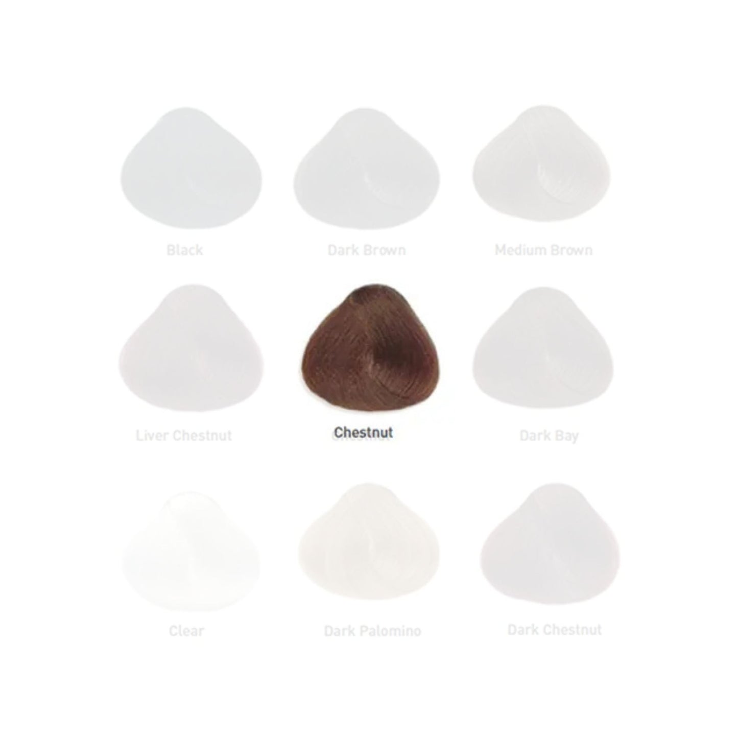 Show Pony Colour Dye - EQ Saddlery