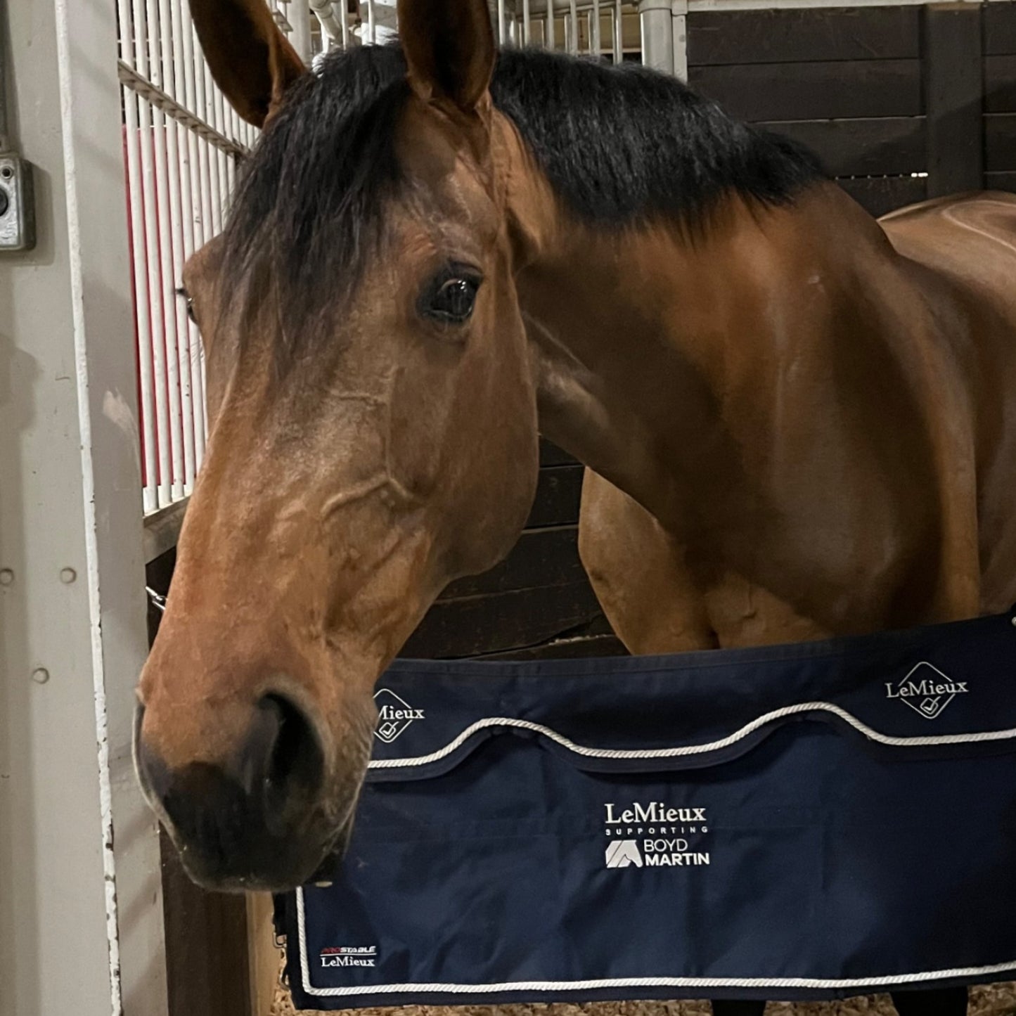 LeMieux Stable Guard - EQ Saddlery