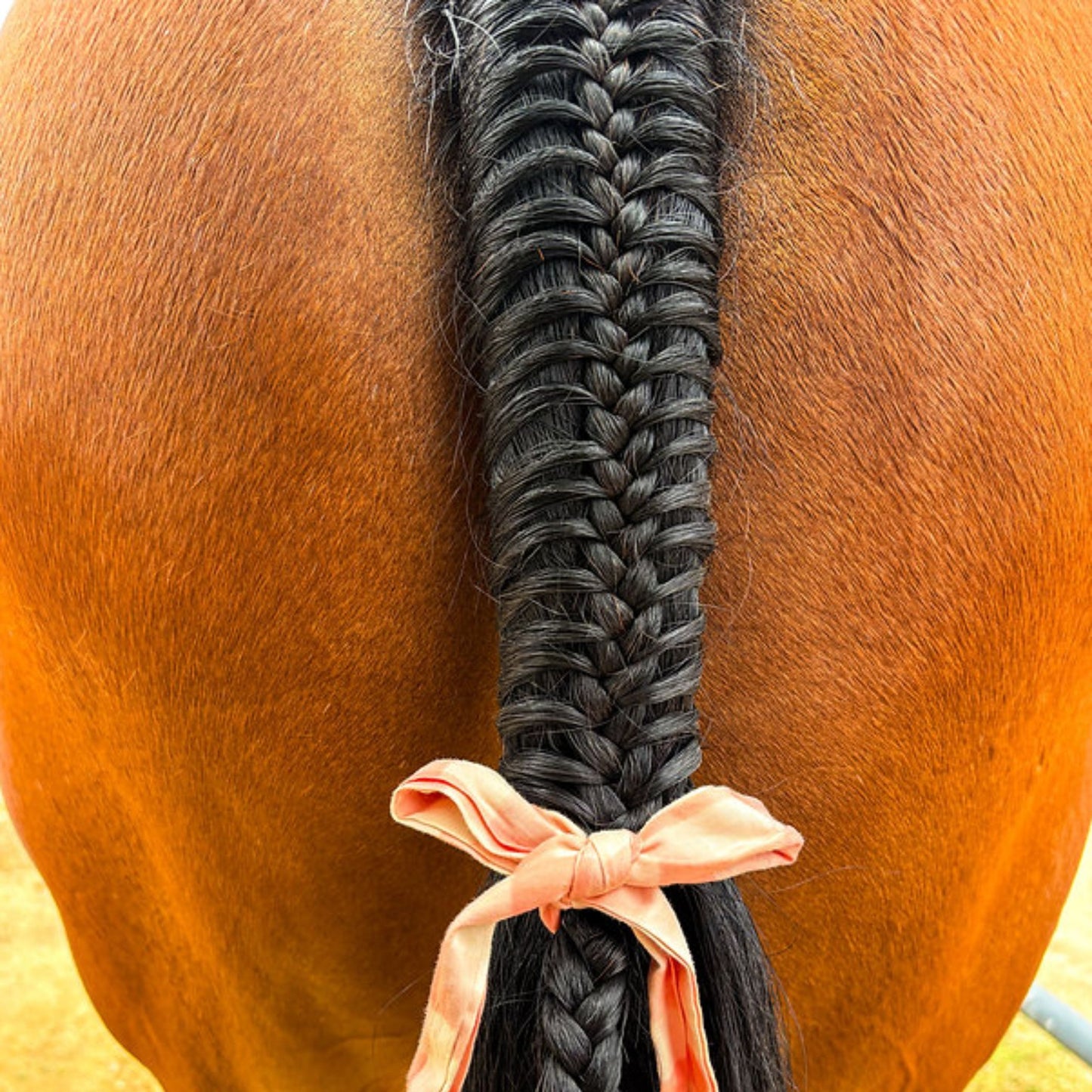 Equinade Supreme Styling Cream - EQ Saddlery