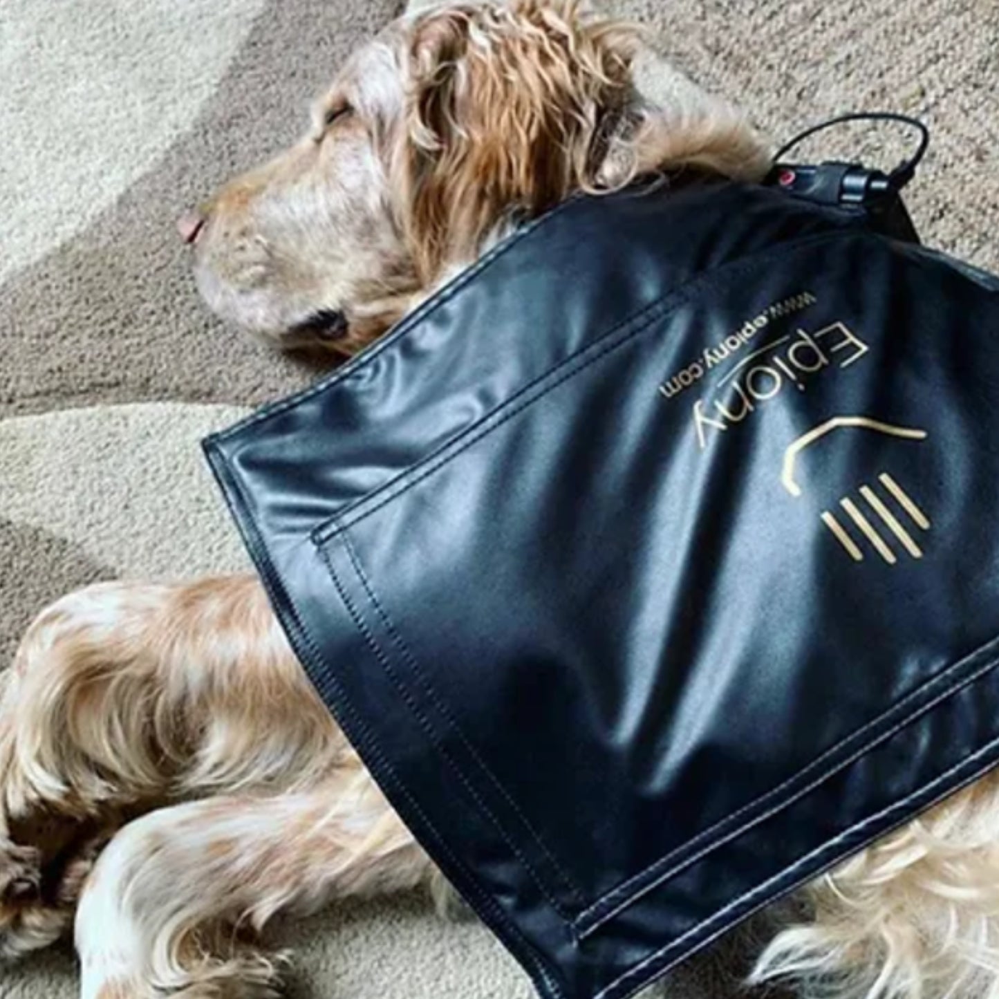 Epiony Heat Pad - EQ Saddlery