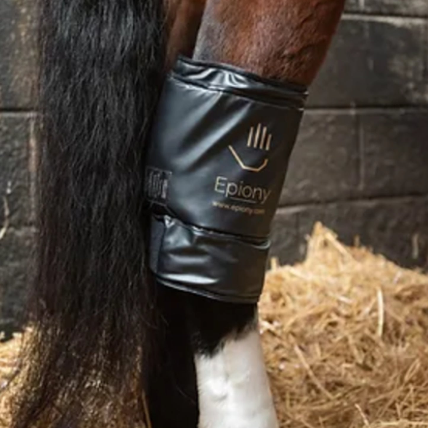 Epiony Heat Pad - EQ Saddlery