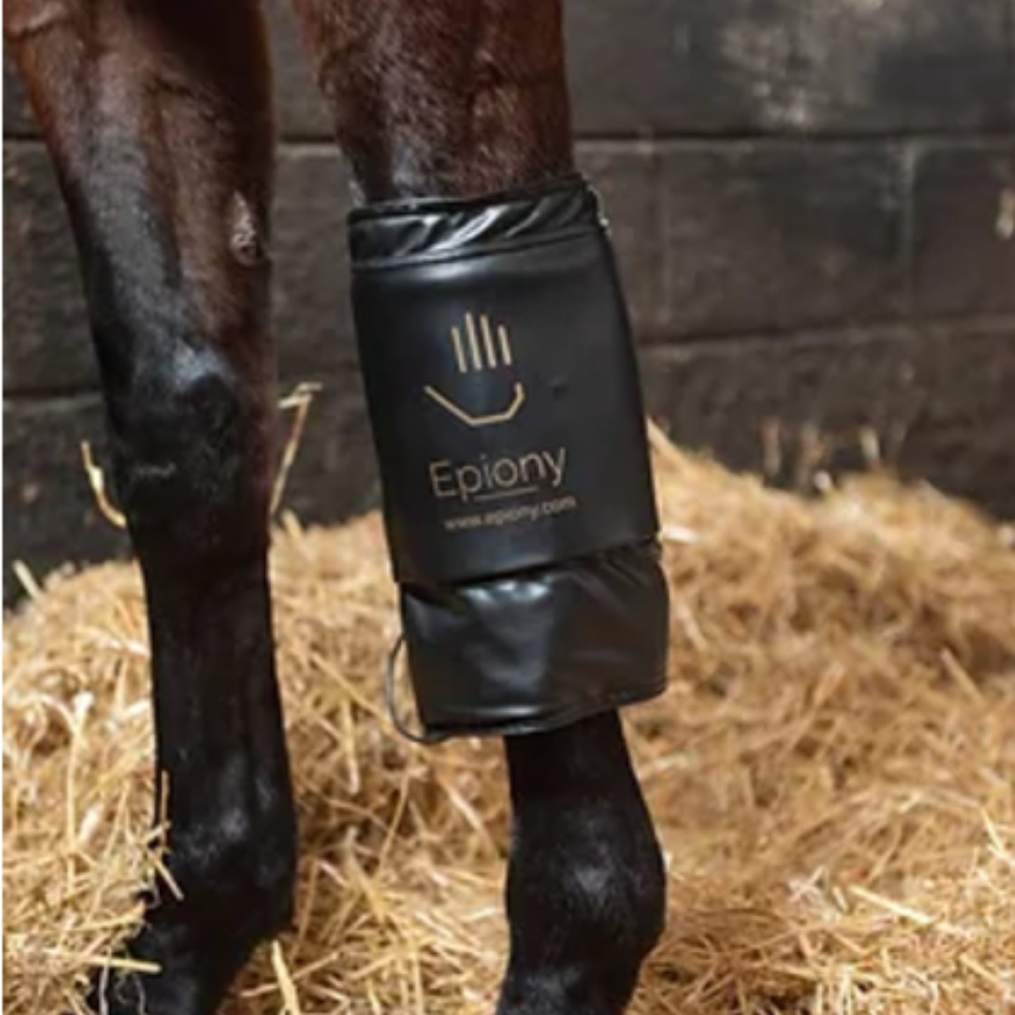 Epiony Heat Pad - EQ Saddlery