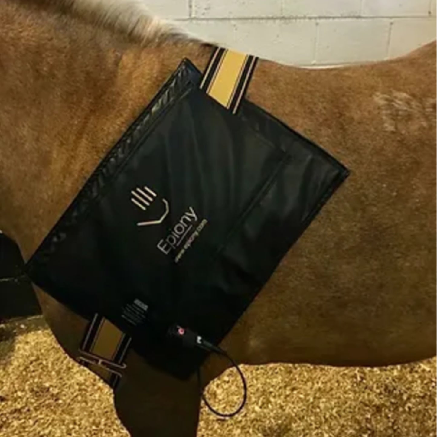 Epiony Heat Pad - EQ Saddlery
