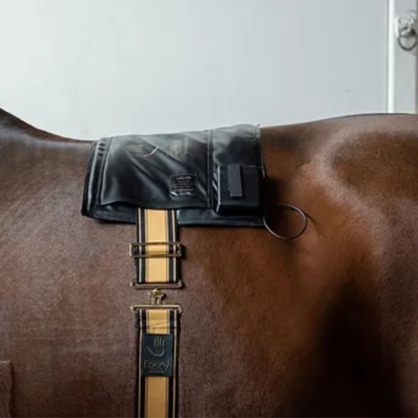 Epiony Heat Pad - EQ Saddlery