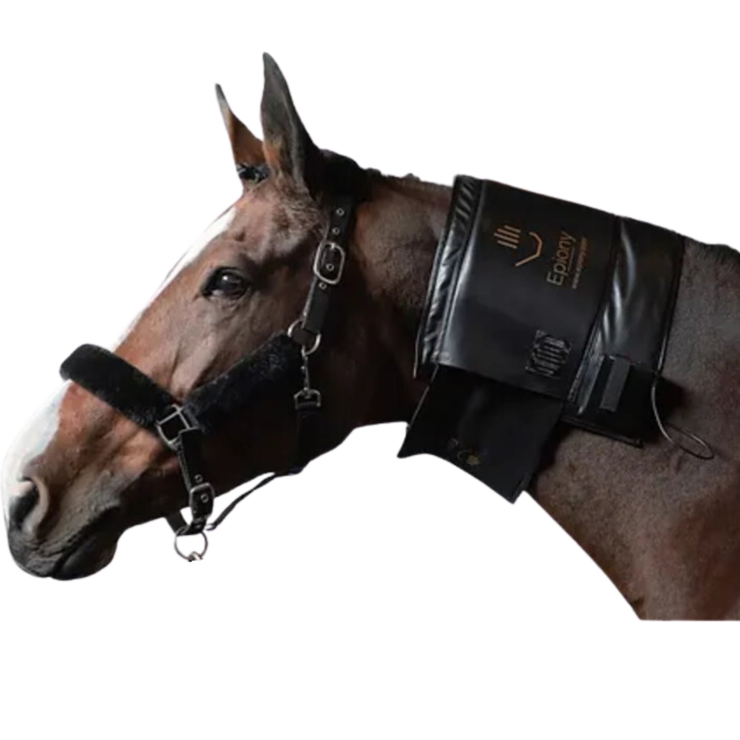 Epiony Heat Pad - EQ Saddlery