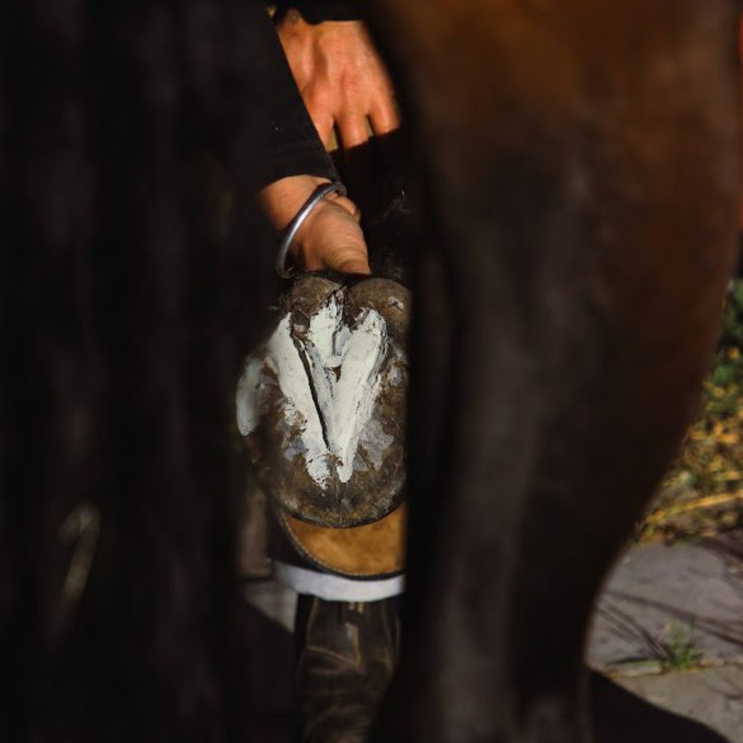 The Equid Apothecary EquiMud - EQ Saddlery