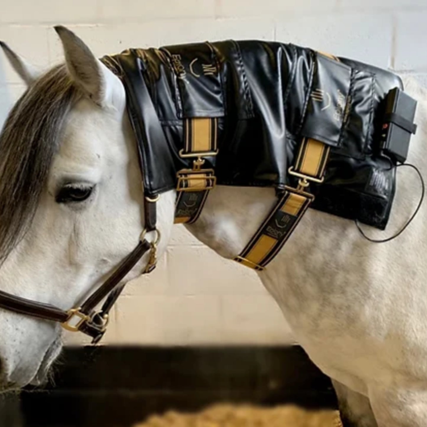 Epiony Heat Pad Plus - EQ Saddlery