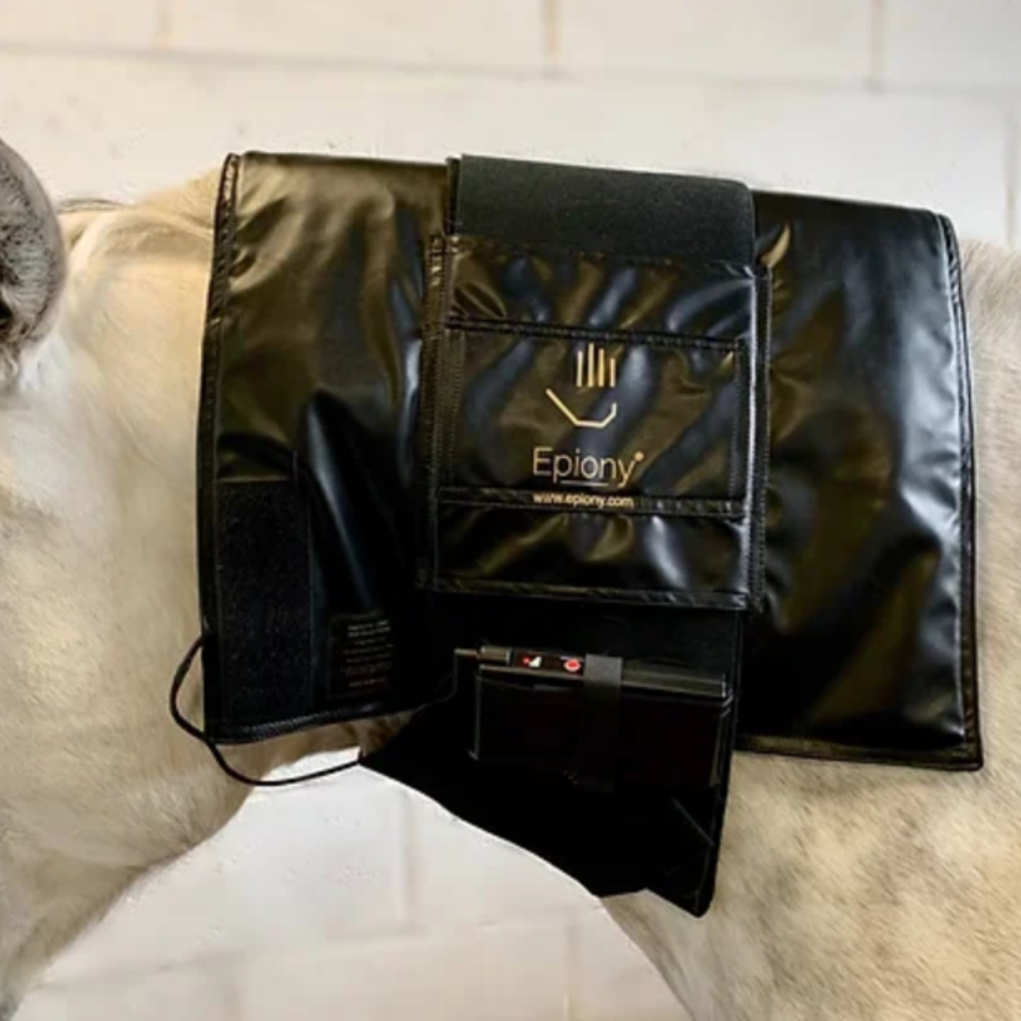 Epiony Heat Pad Plus - EQ Saddlery
