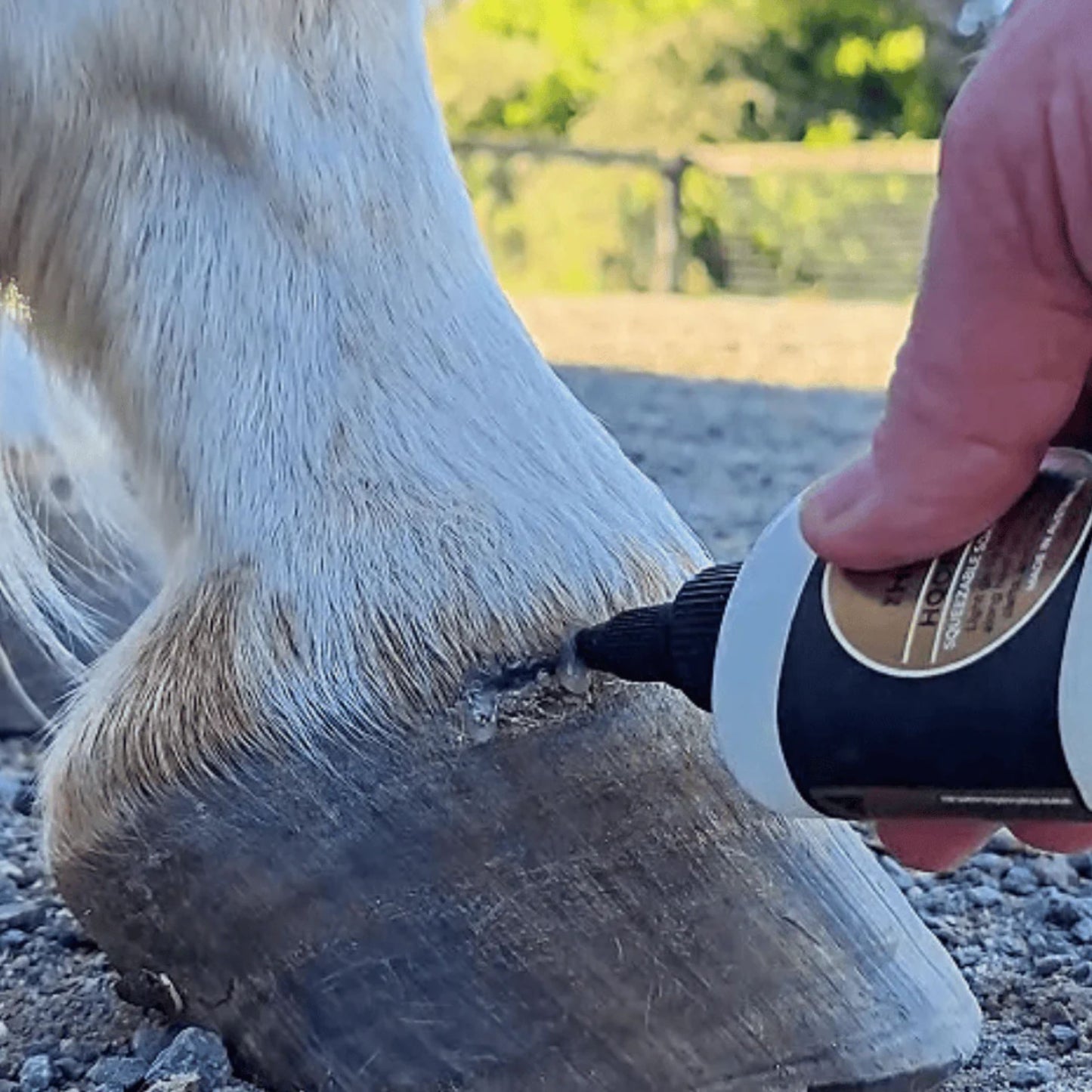 The Hoof Co Hoof IX Pure