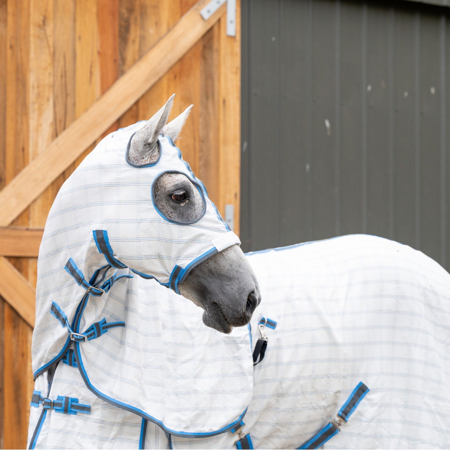 EQ Armour Summer Deluxe Show Set - EQ Saddlery