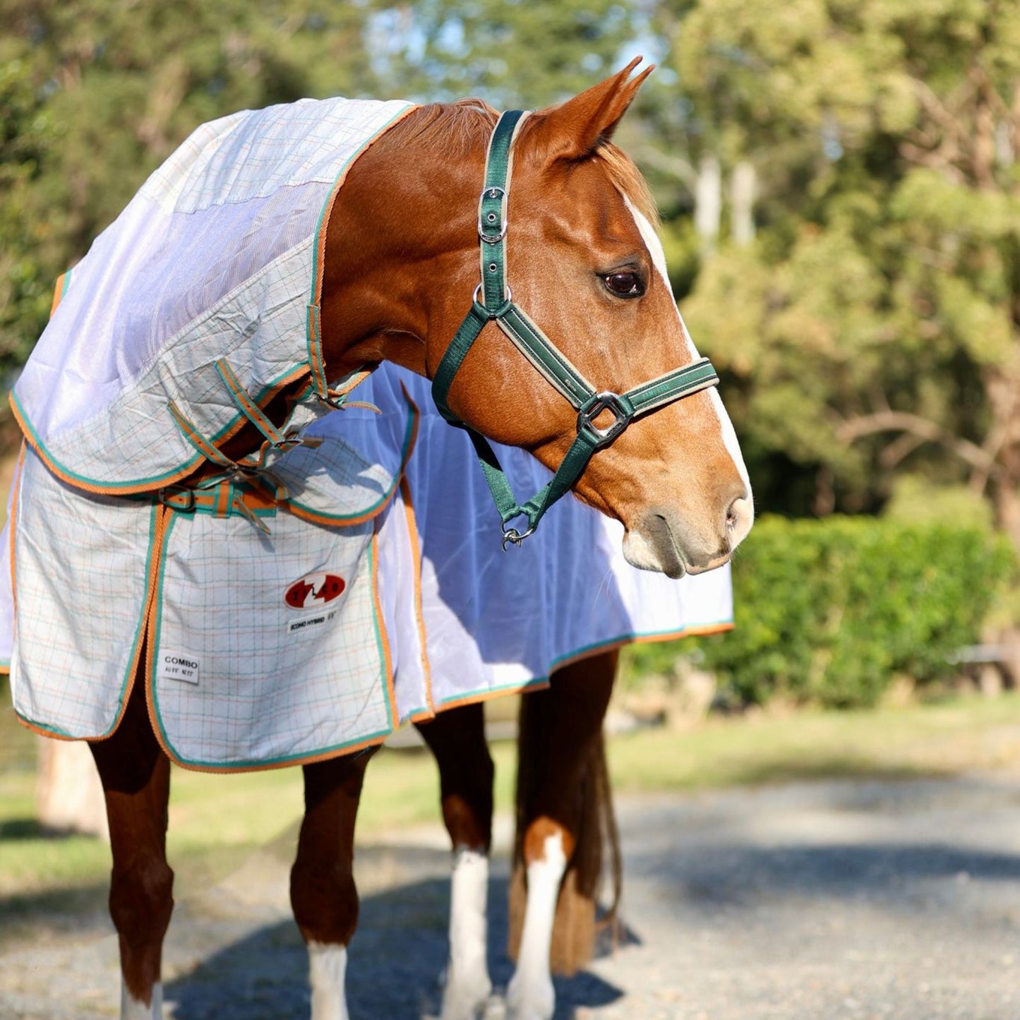 Zilco Econo Hybrid Combo Rug - EQ Saddlery