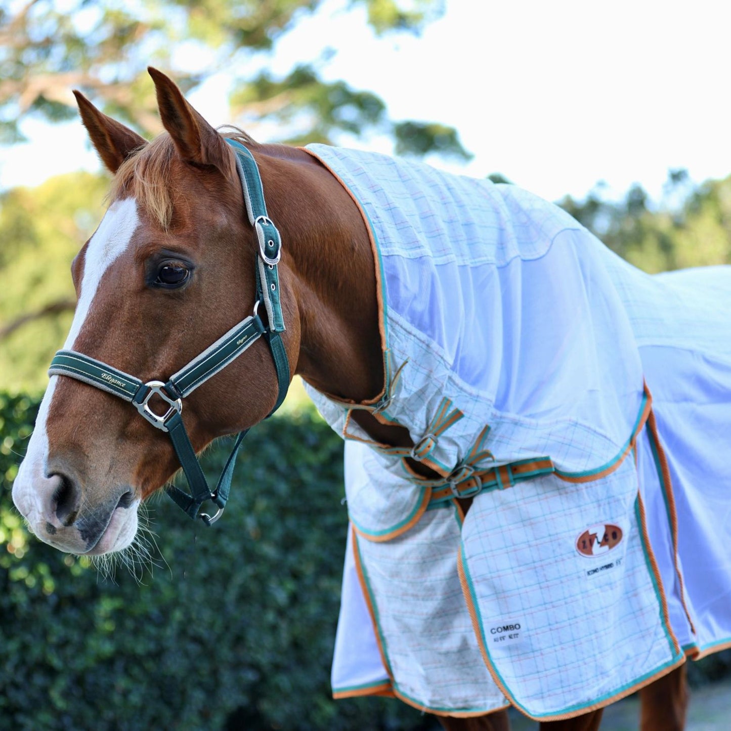 Zilco Econo Hybrid Combo Rug - EQ Saddlery